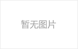 石狮网架的发展史
